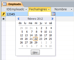 Cómo crear registros en Microsoft Access