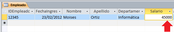 Cómo añadir registros en Microsoft Access