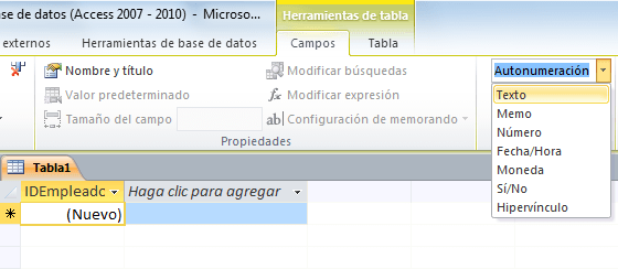 Crear una tabla en Access