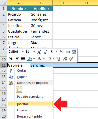 Cómo insertar varias filas en Excel • Excel Total
